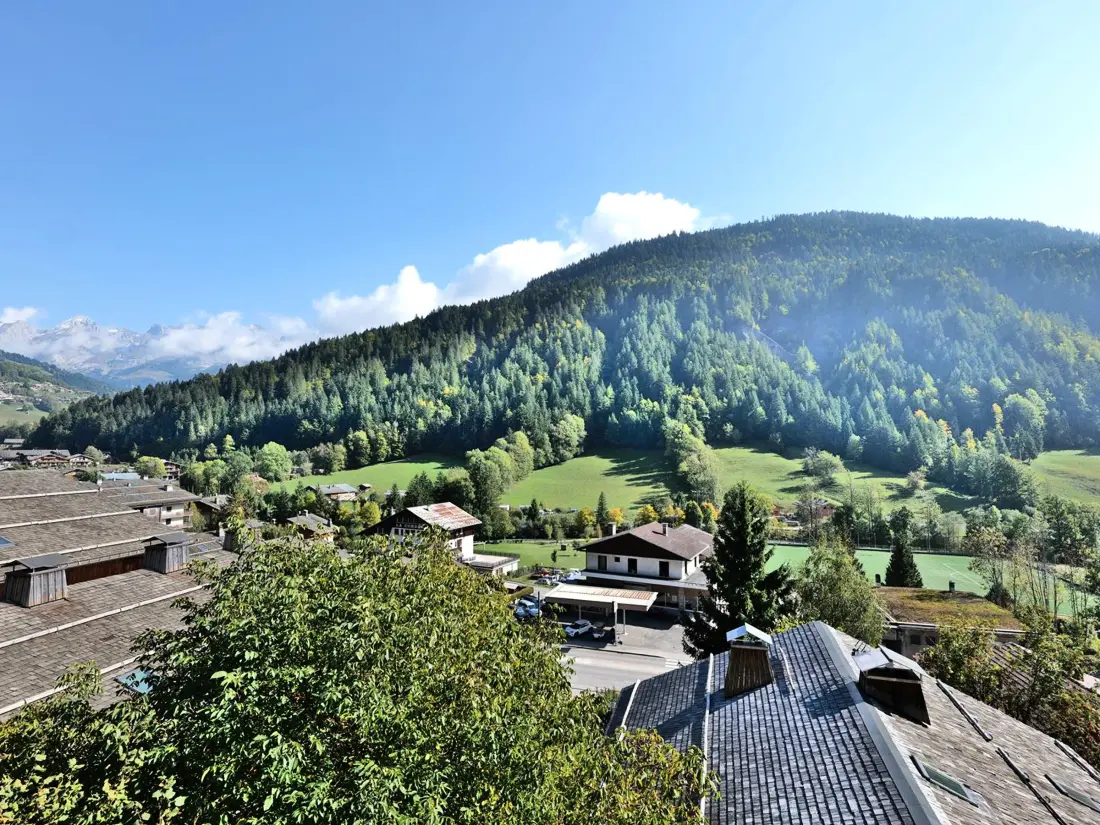 Location de Vacances Le Grand-Bornand 246
