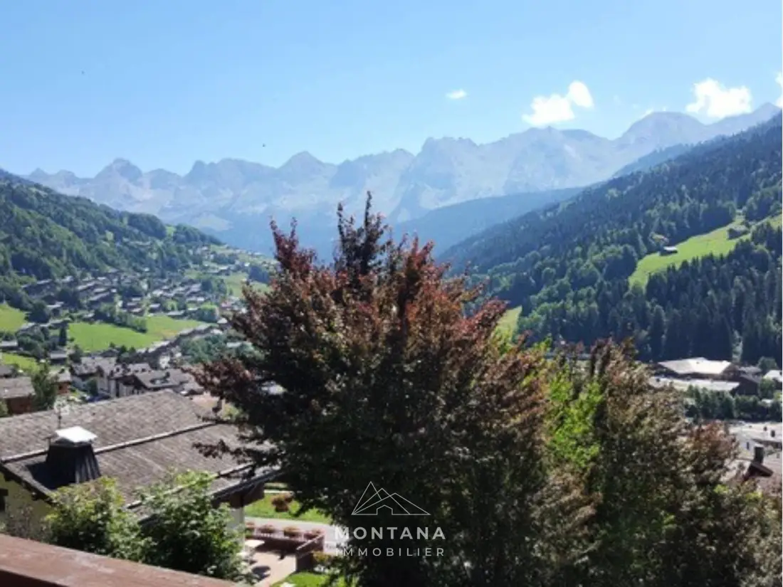 Location de Vacances Le Grand-Bornand 247