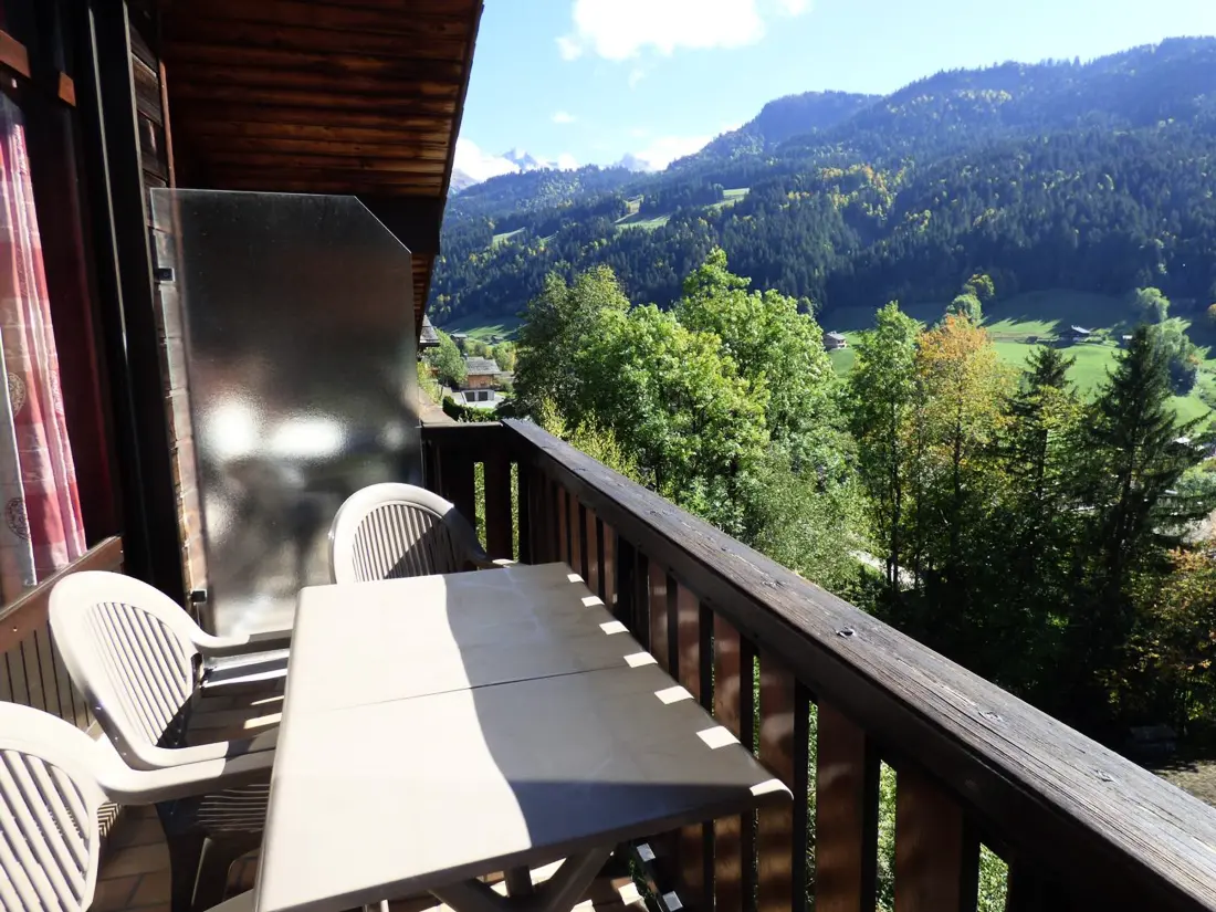 Location de Vacances Le Grand-Bornand 252