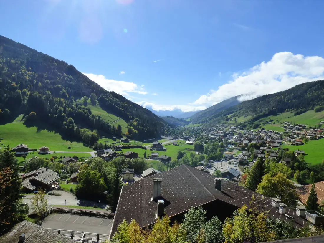 Location de Vacances Le Grand-Bornand 252