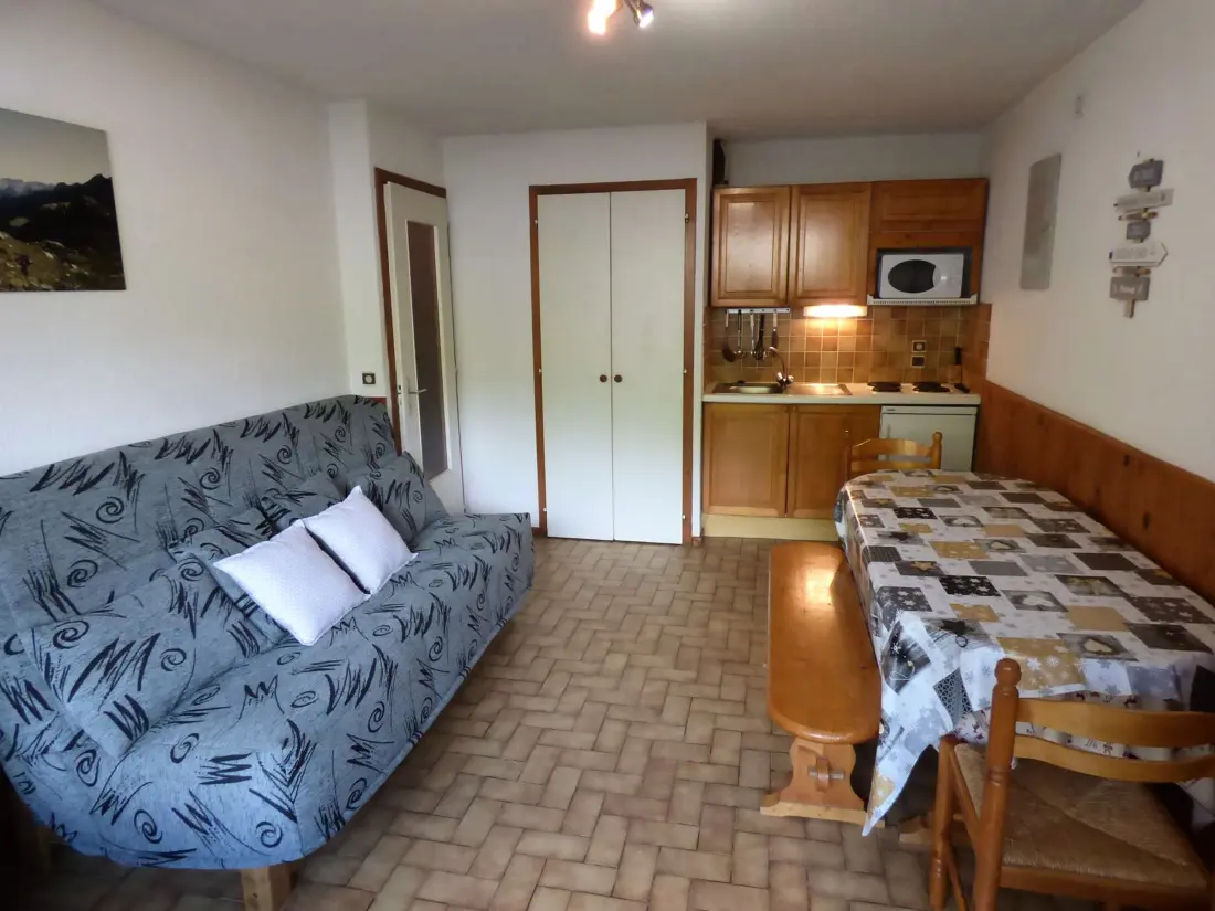 Location de Vacances Le Grand-Bornand 253