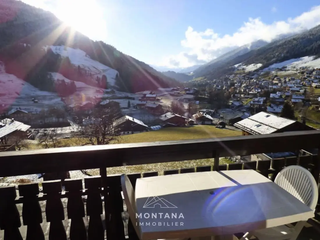 Location de Vacances Le Grand-Bornand 263