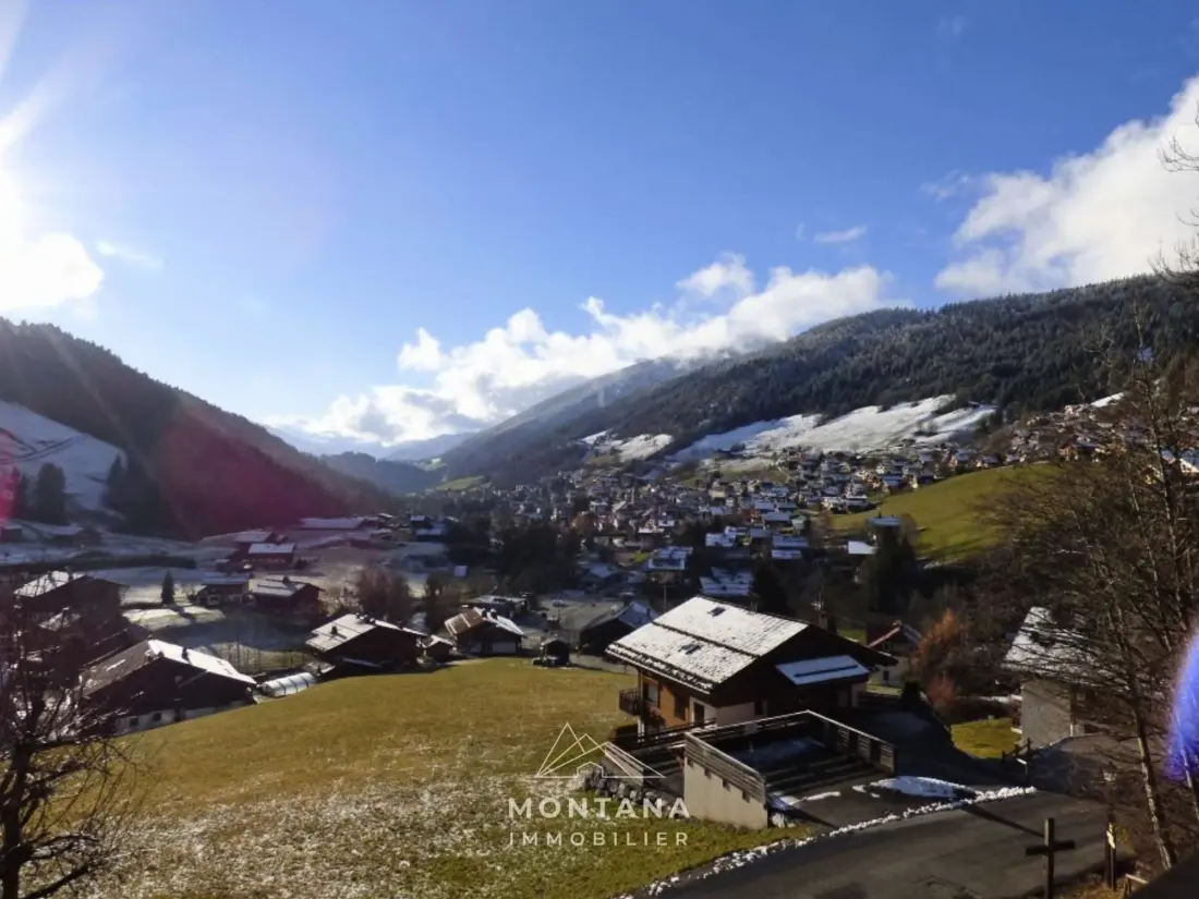 Location de Vacances Le Grand-Bornand 263