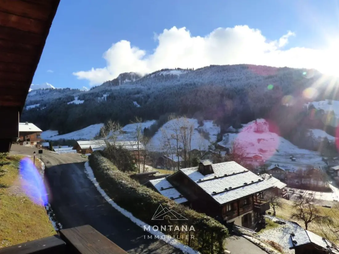 Location de Vacances Le Grand-Bornand 263