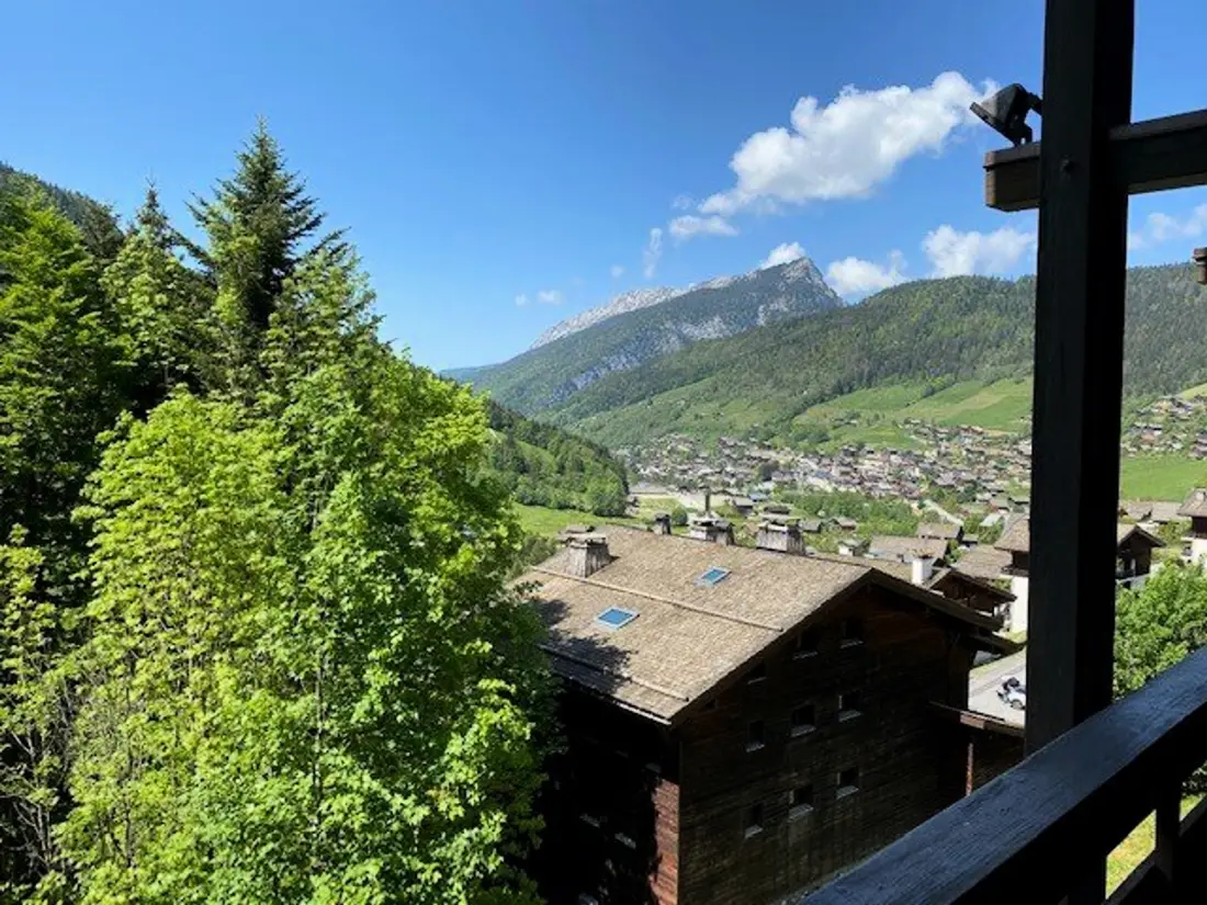 Location de Vacances Le Grand-Bornand 275