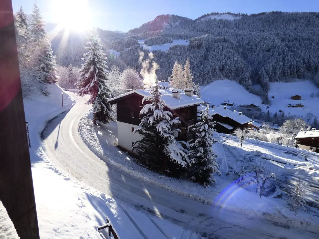 Location de Vacances Le Grand-Bornand 281