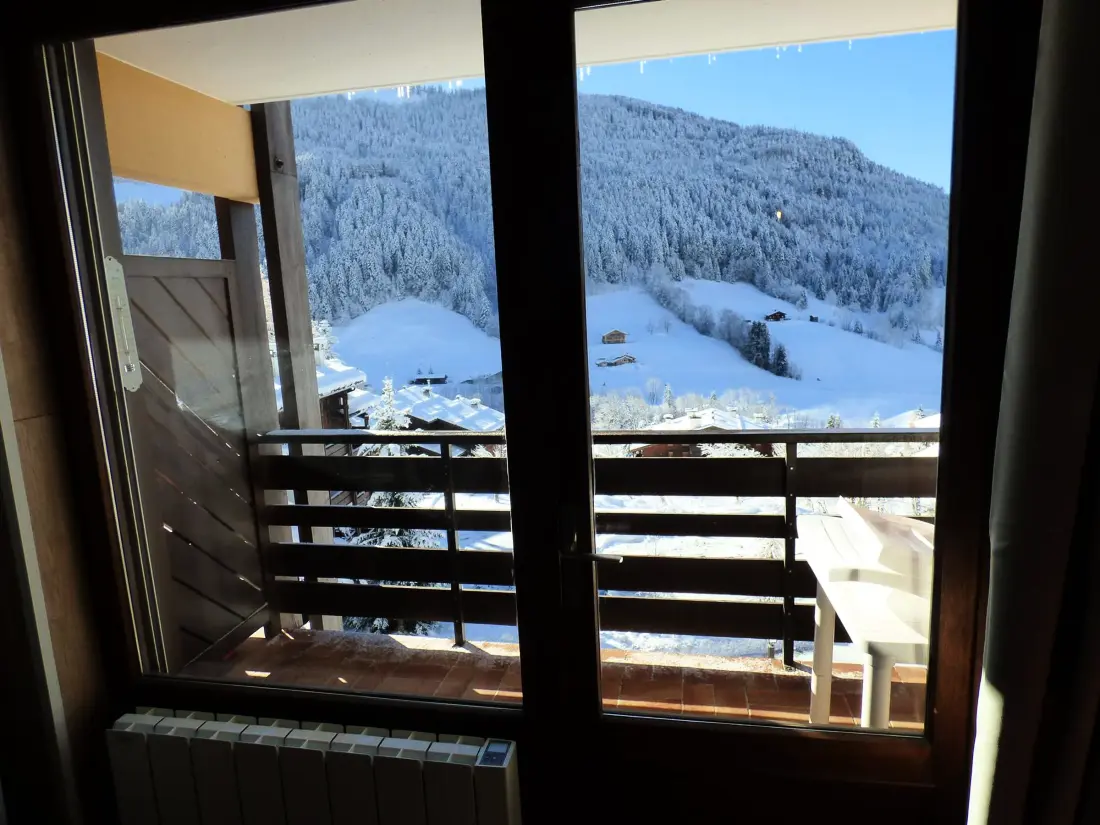 Location de Vacances Le Grand-Bornand 281