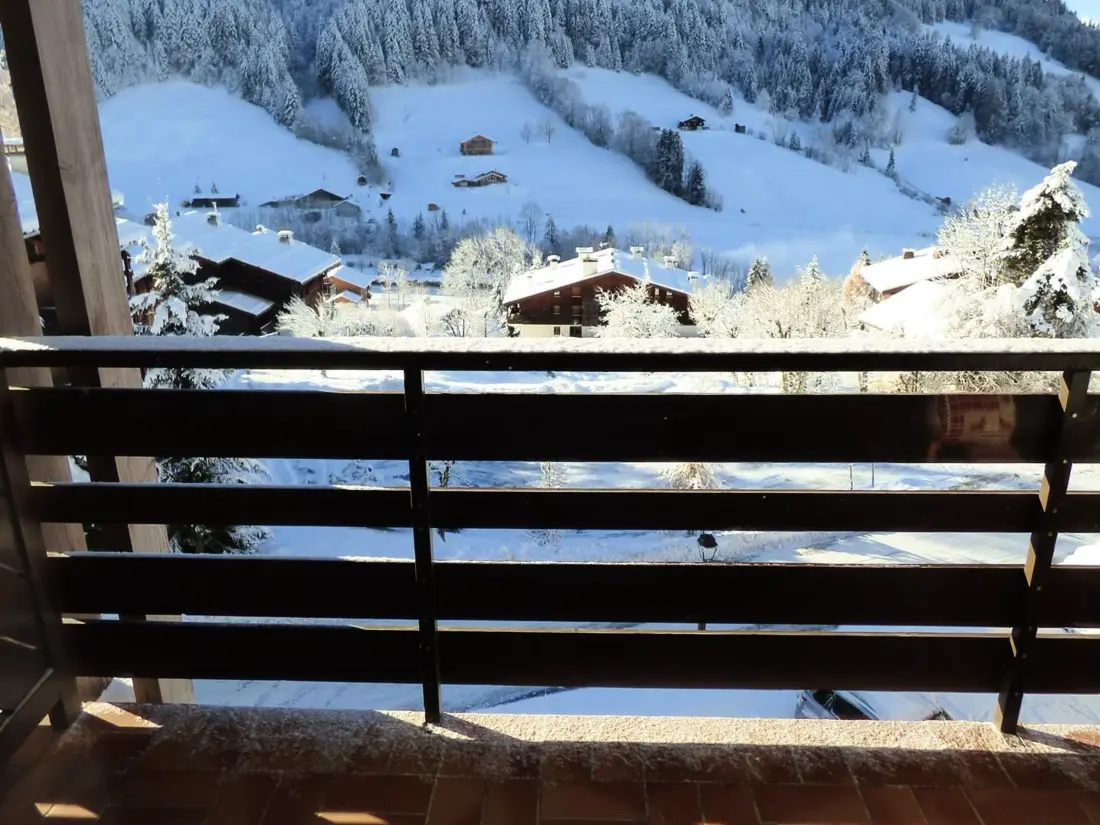 Location de Vacances Le Grand-Bornand 281