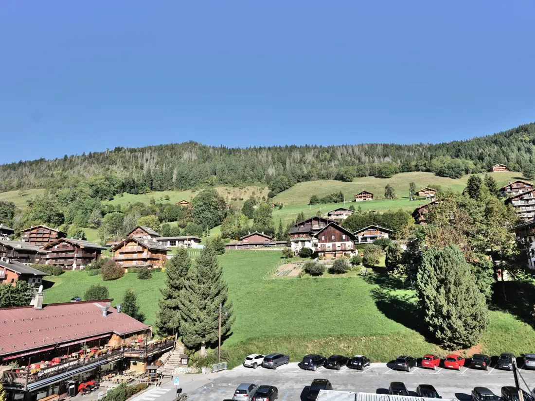 Location de Vacances Le Grand-Bornand 292