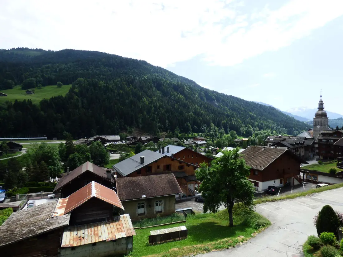Location de Vacances Le Grand-Bornand 298