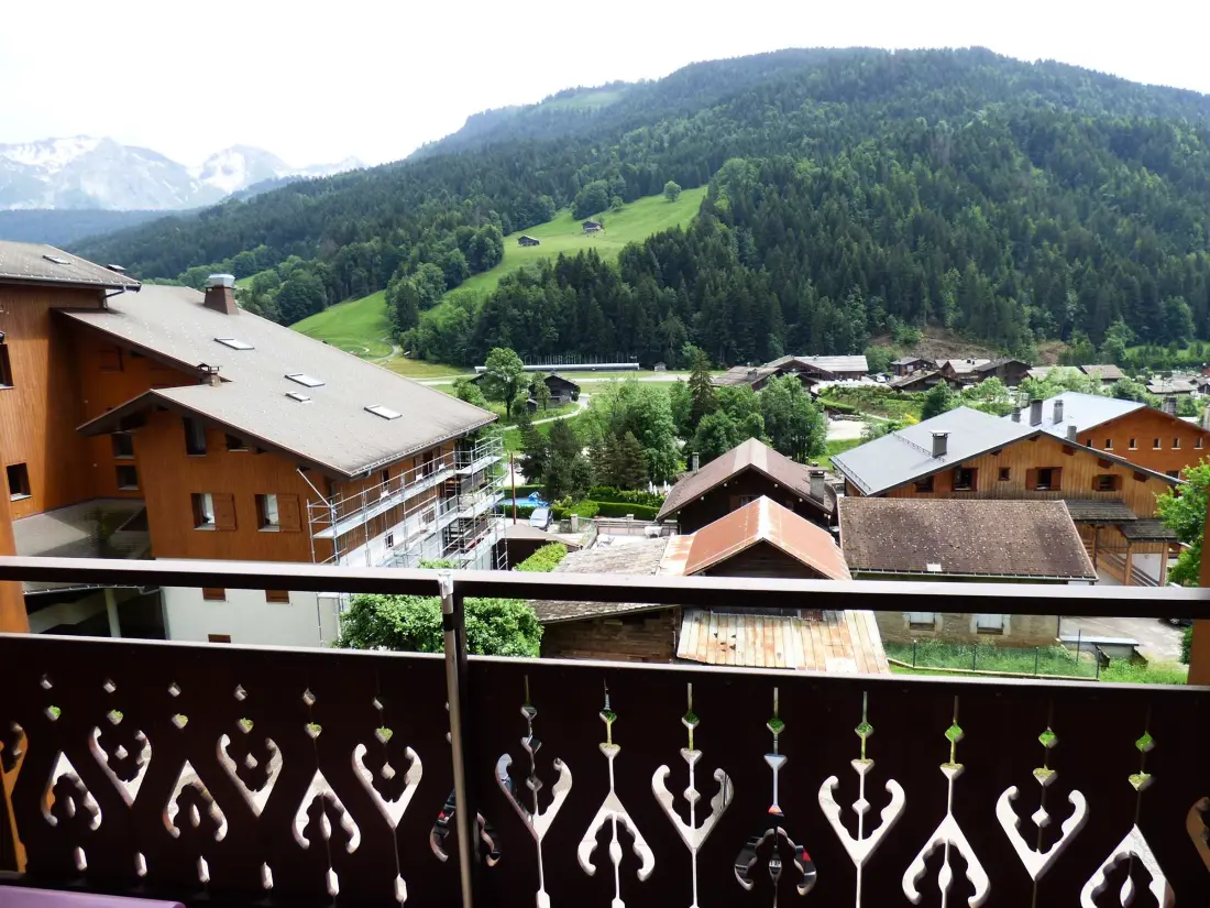 Location de Vacances Le Grand-Bornand 298