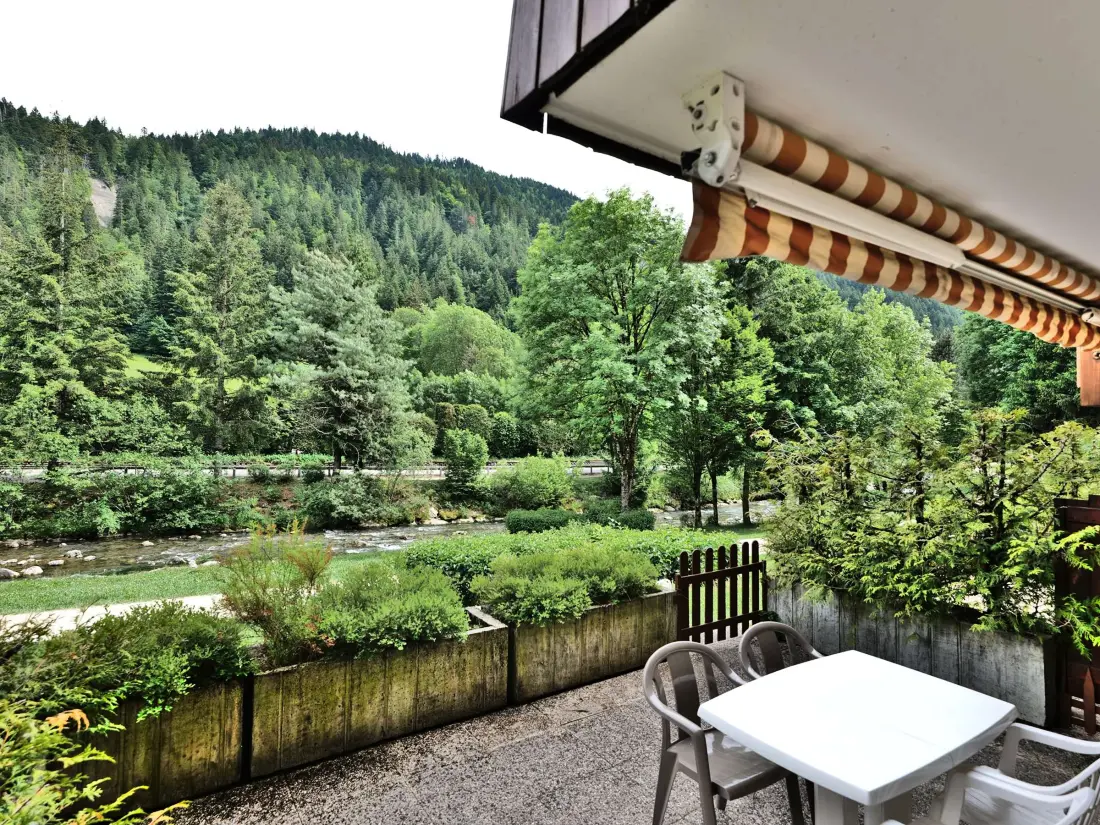 Location de Vacances Le Grand-Bornand 300