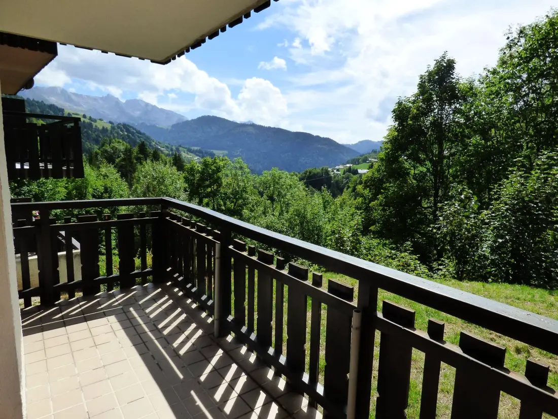 Location de Vacances Le Grand-Bornand 303