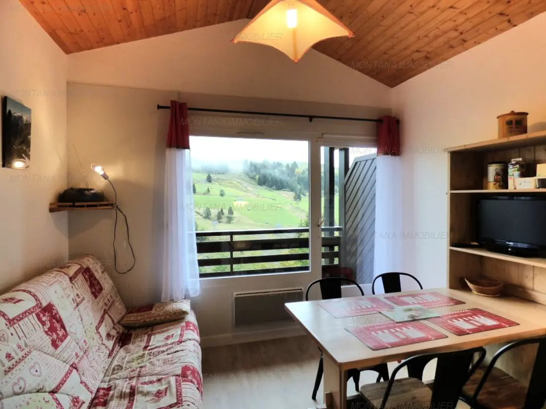 Location de Vacances Le Grand-Bornand 305
