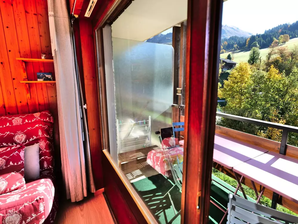 Location de Vacances Le Grand-Bornand 312