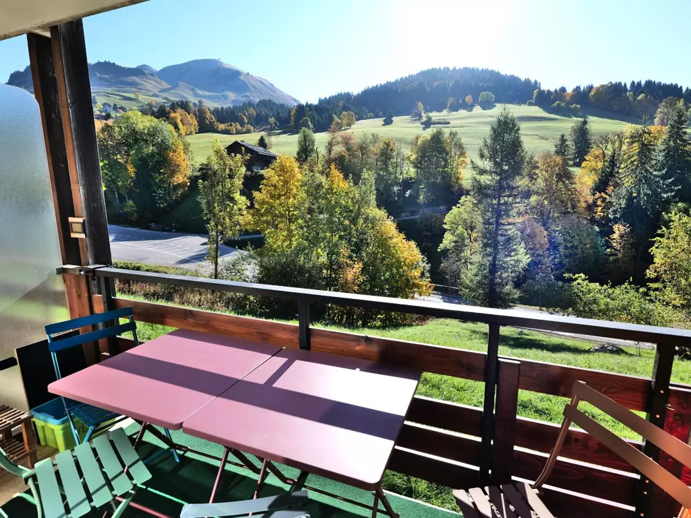 Location de Vacances Le Grand-Bornand 312