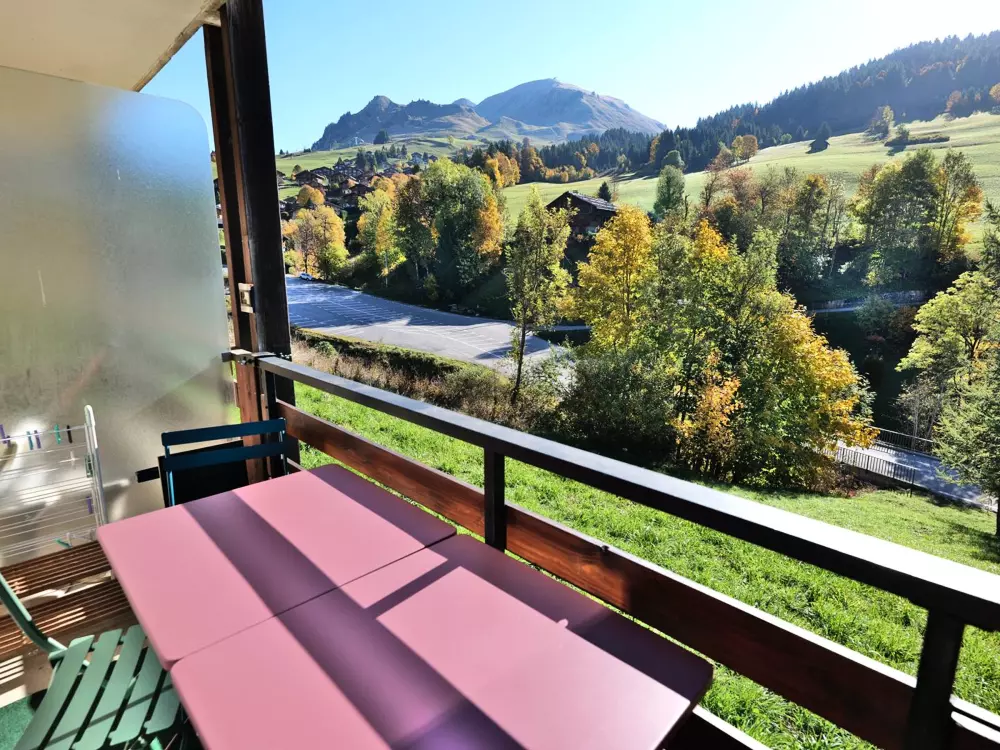 Location de Vacances Le Grand-Bornand 312