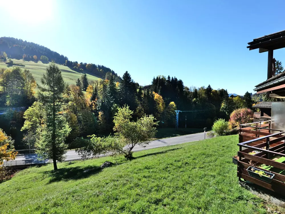 Location de Vacances Le Grand-Bornand 312