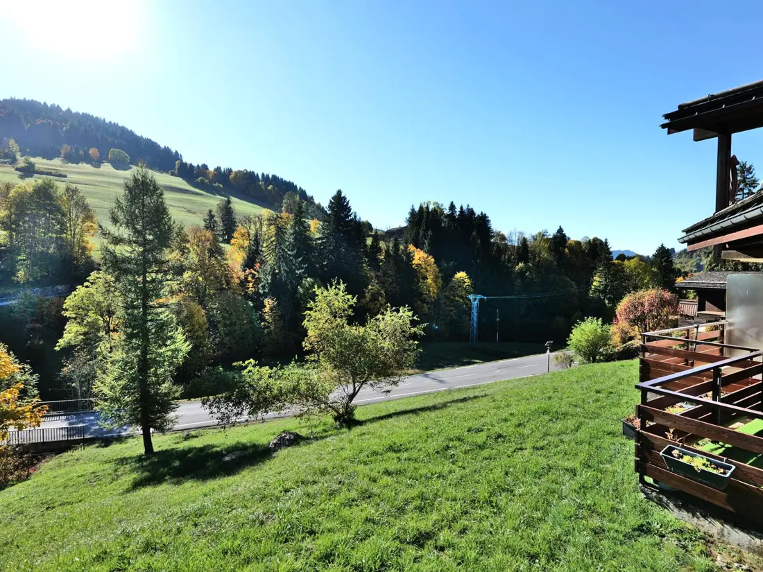 Location de Vacances Le Grand-Bornand 312