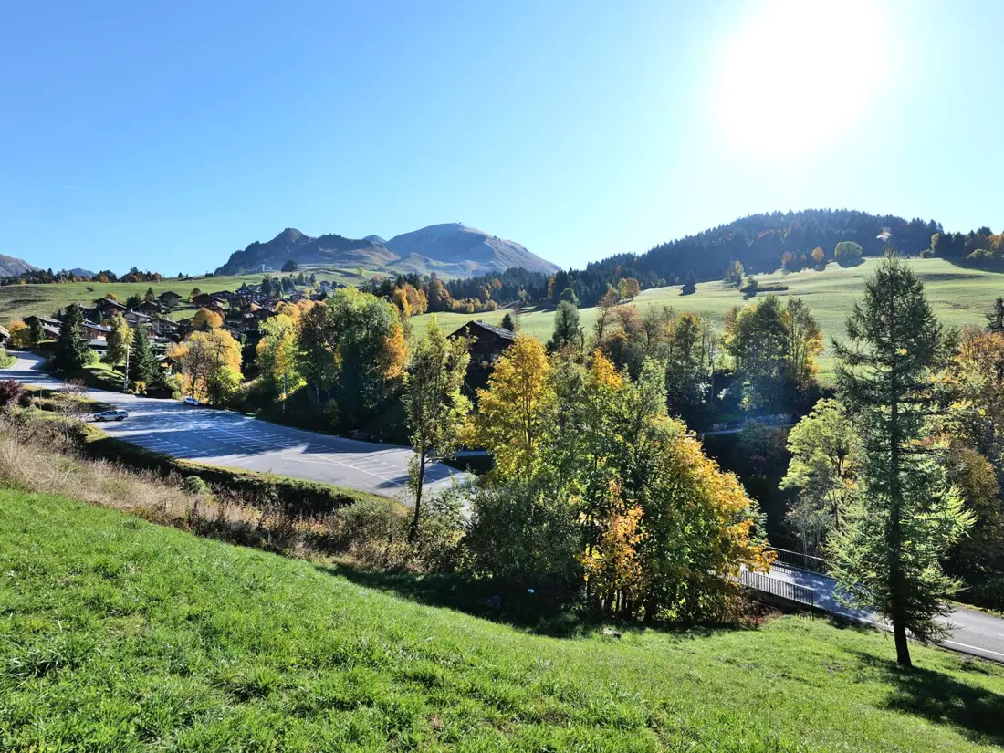 Location de Vacances Le Grand-Bornand 312