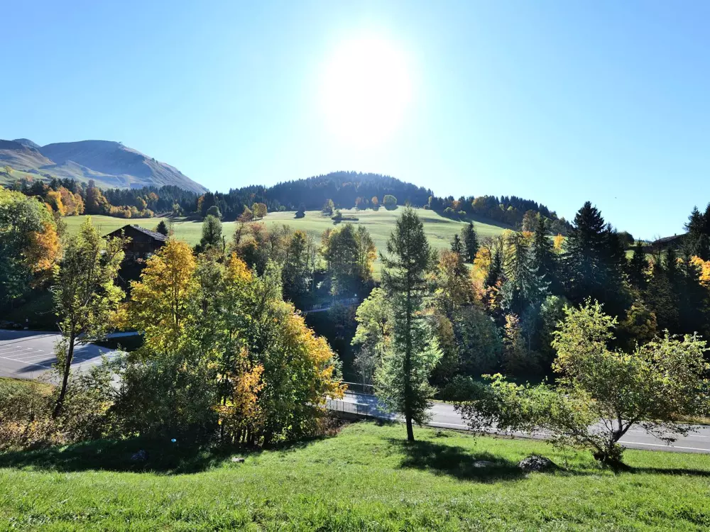 Location de Vacances Le Grand-Bornand 312