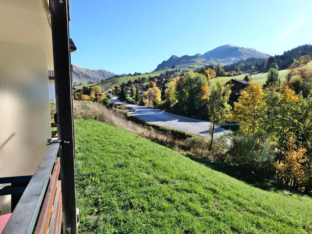 Location de Vacances Le Grand-Bornand 312