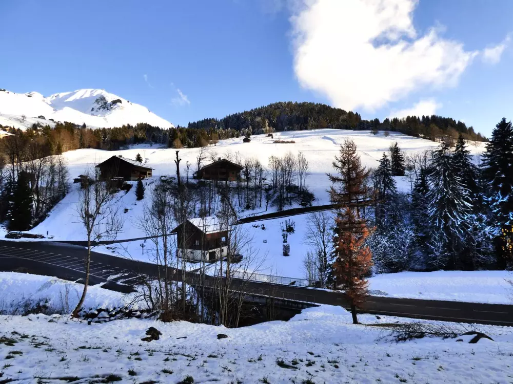 Location de Vacances Le Grand-Bornand 312