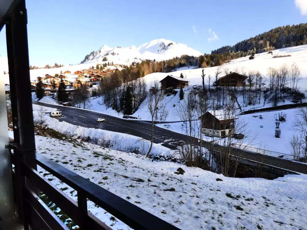 Location de Vacances Le Grand-Bornand 312