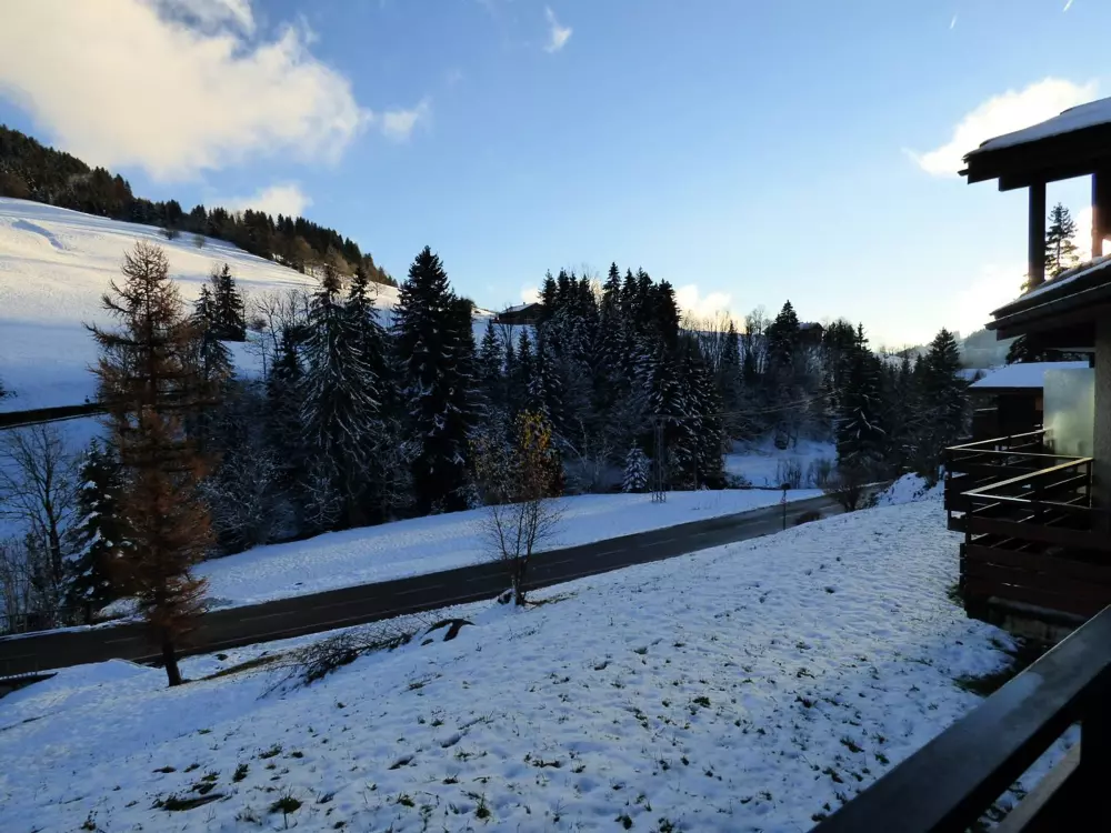 Location de Vacances Le Grand-Bornand 312