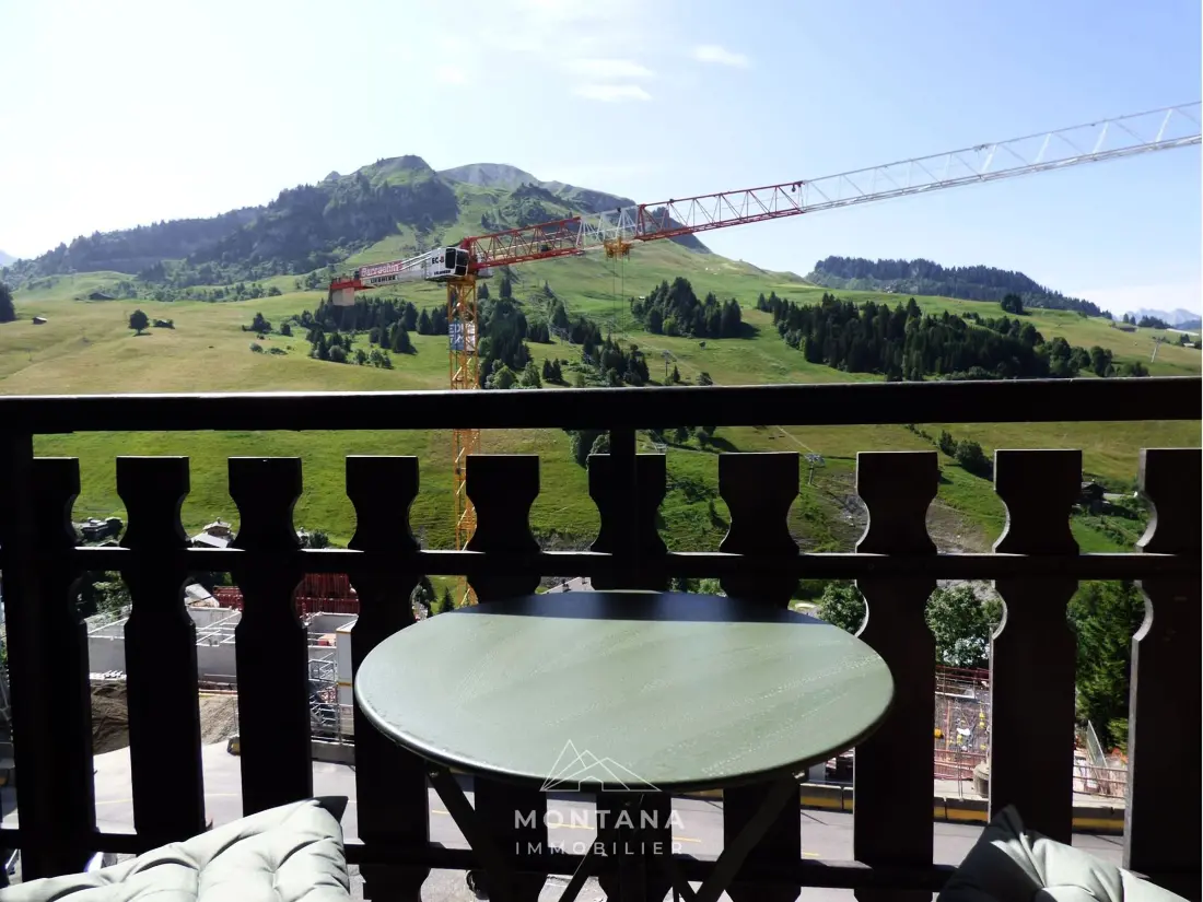 Location de Vacances Le Grand-Bornand 313