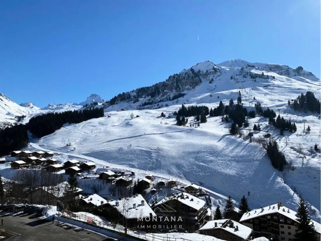 Location de Vacances Le Grand-Bornand 313