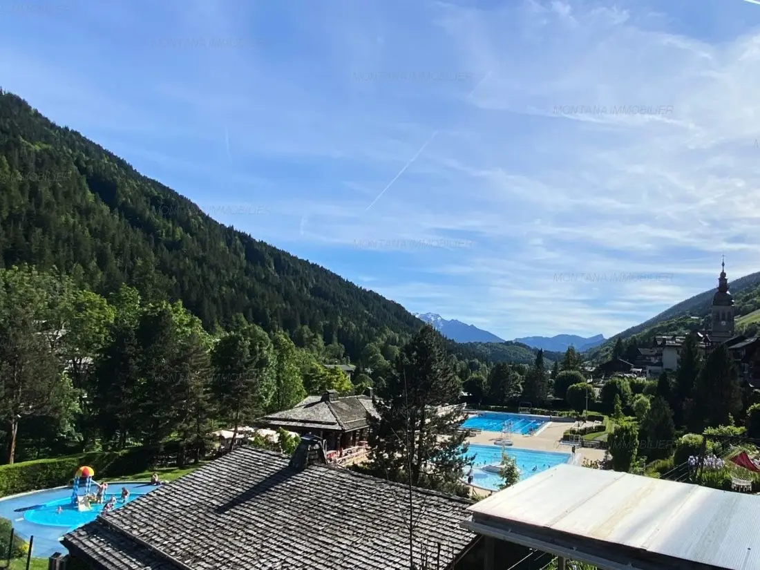 Location de Vacances Le Grand-Bornand 317