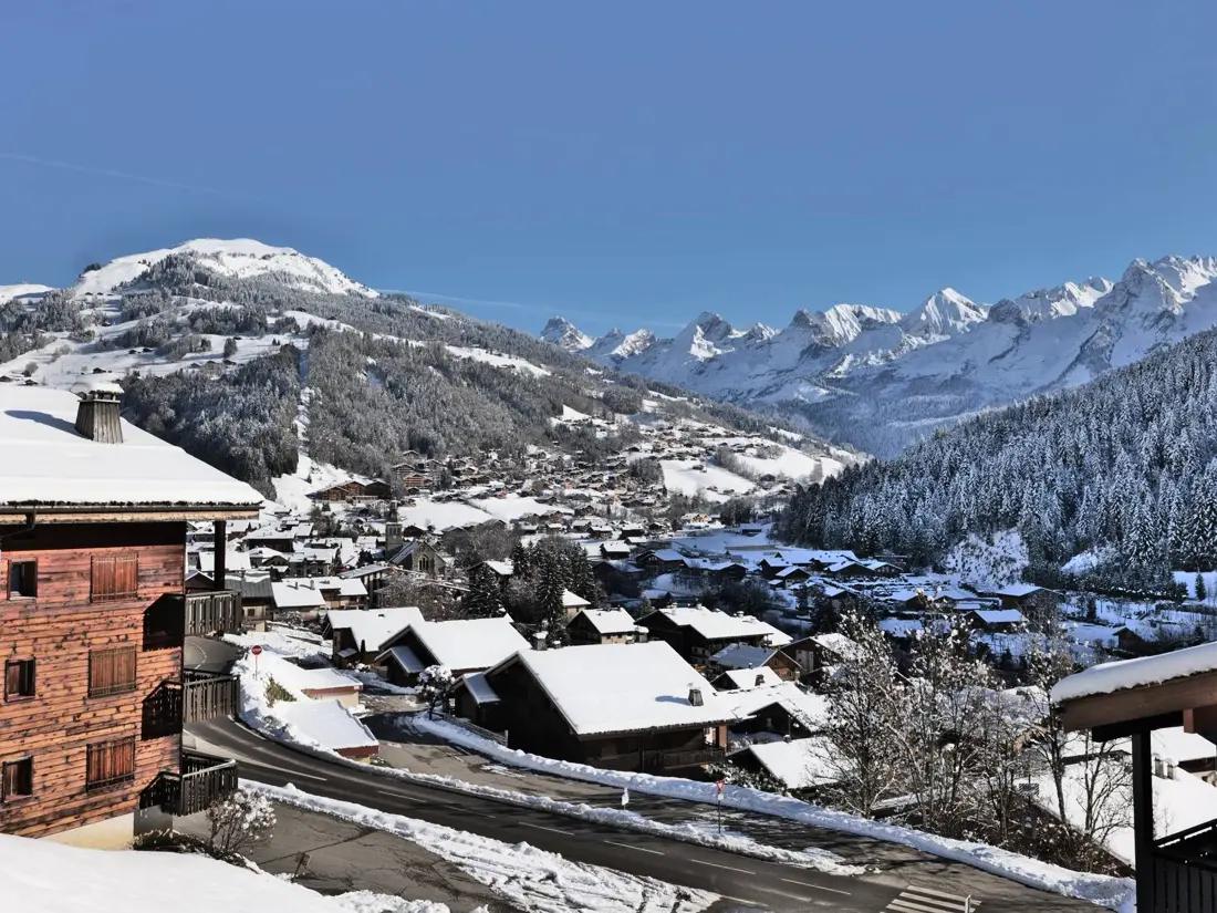 Location de Vacances Le Grand-Bornand 321