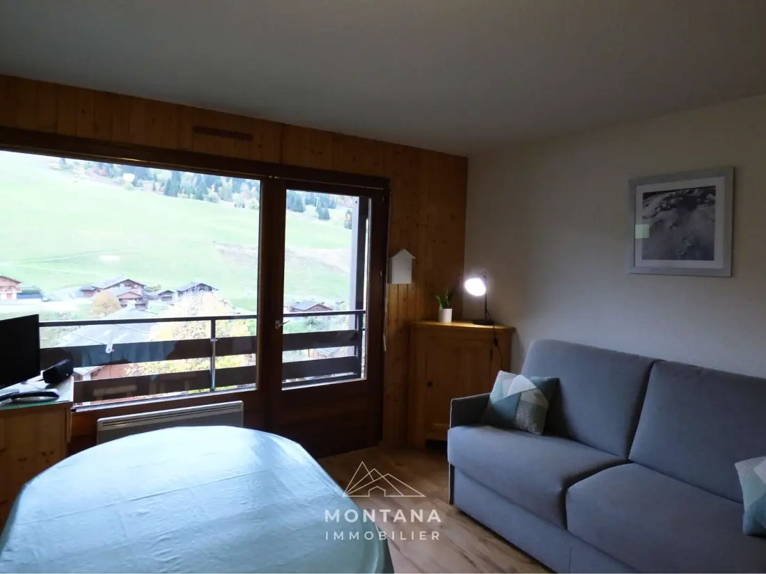 Location de Vacances Le Grand-Bornand 328