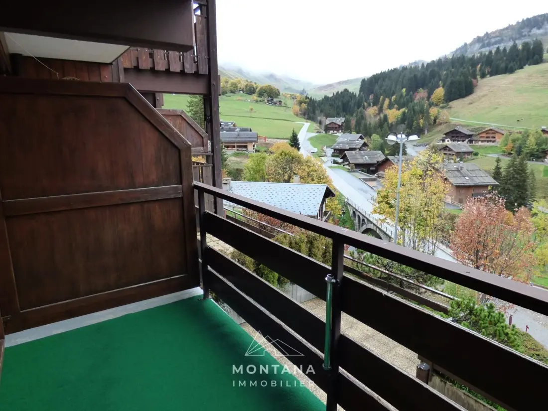 Location de Vacances Le Grand-Bornand 328