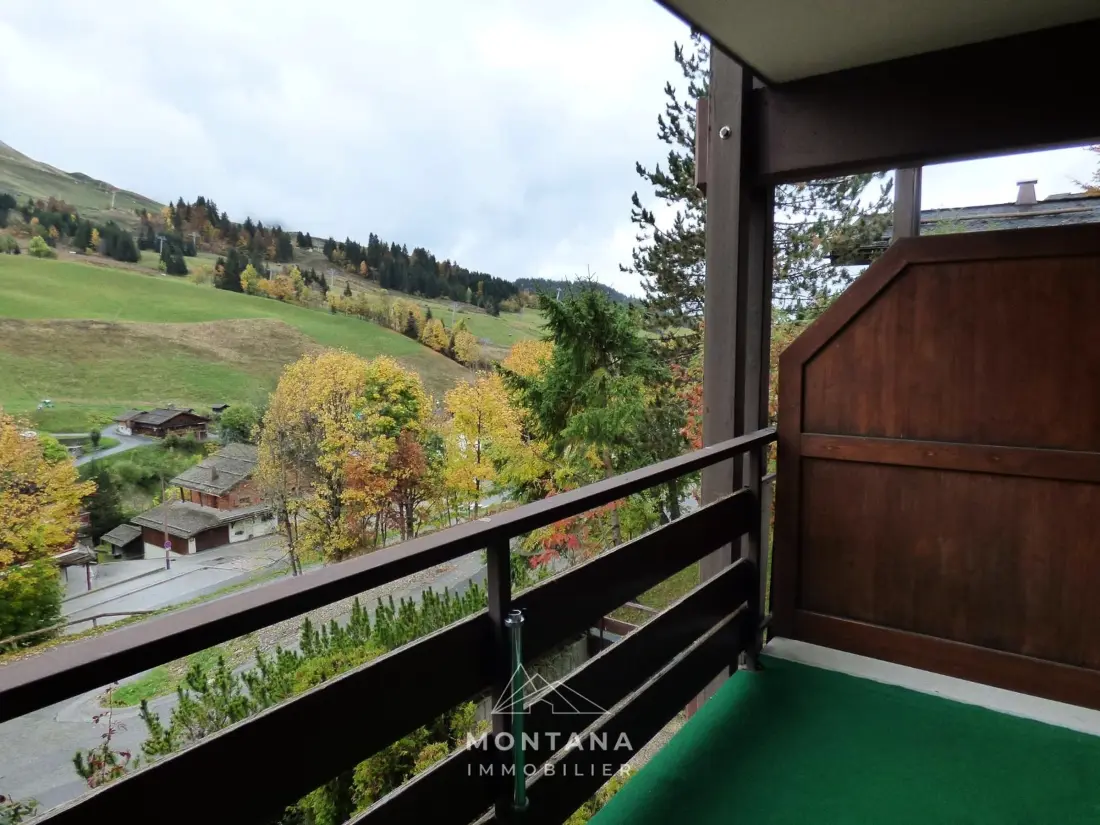 Location de Vacances Le Grand-Bornand 328