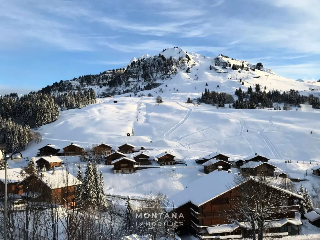 Location de Vacances Le Grand-Bornand 328