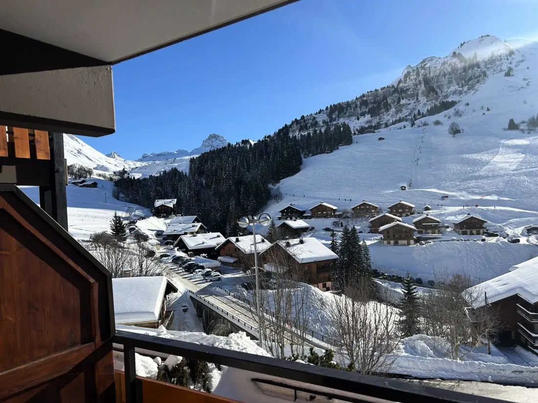 Location de Vacances Le Grand-Bornand 328