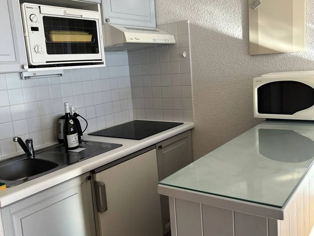 Location de Vacances Le Grand-Bornand 328