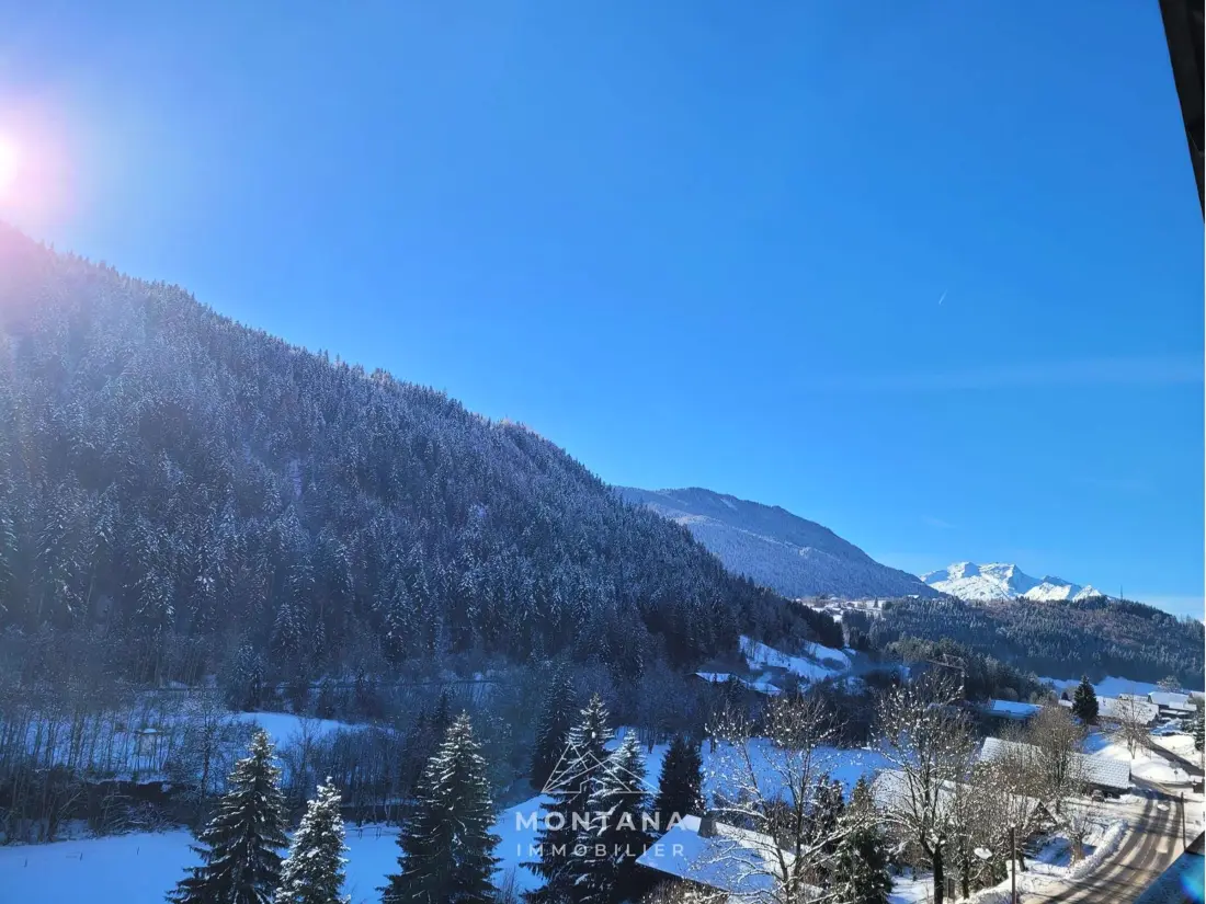 Location de Vacances Le Grand-Bornand 331