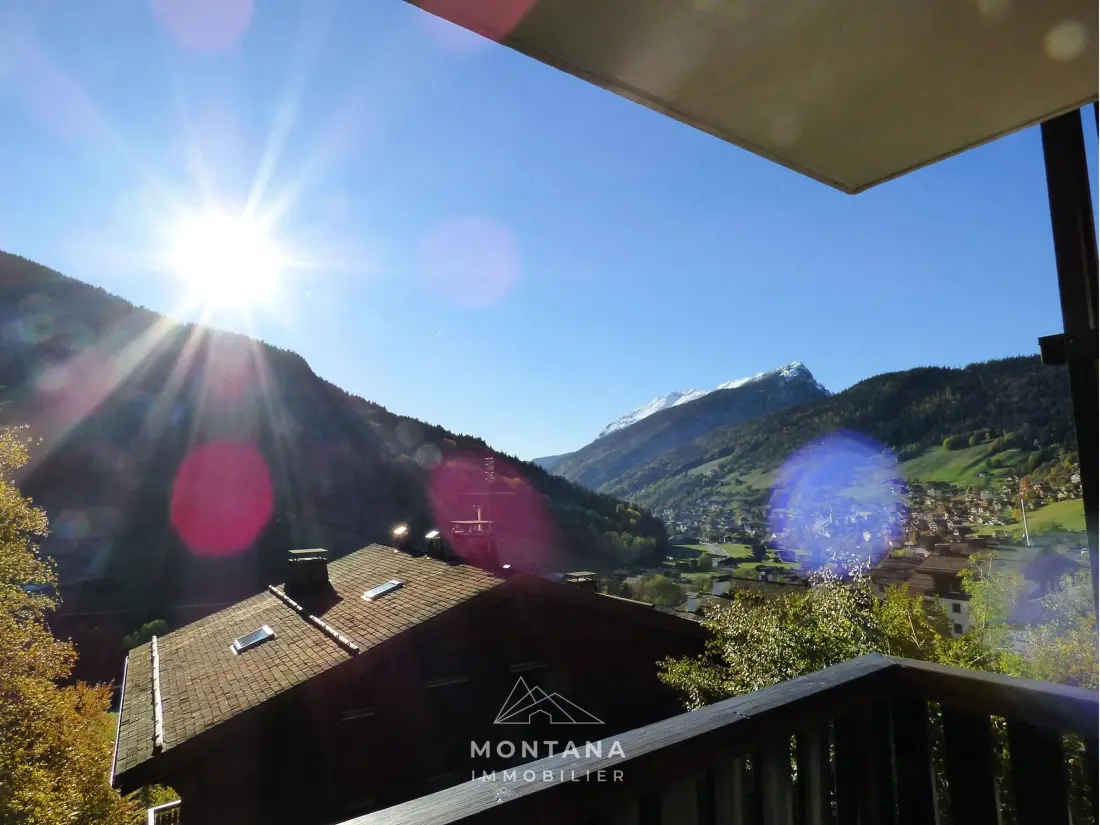 Location de Vacances Le Grand-Bornand 333