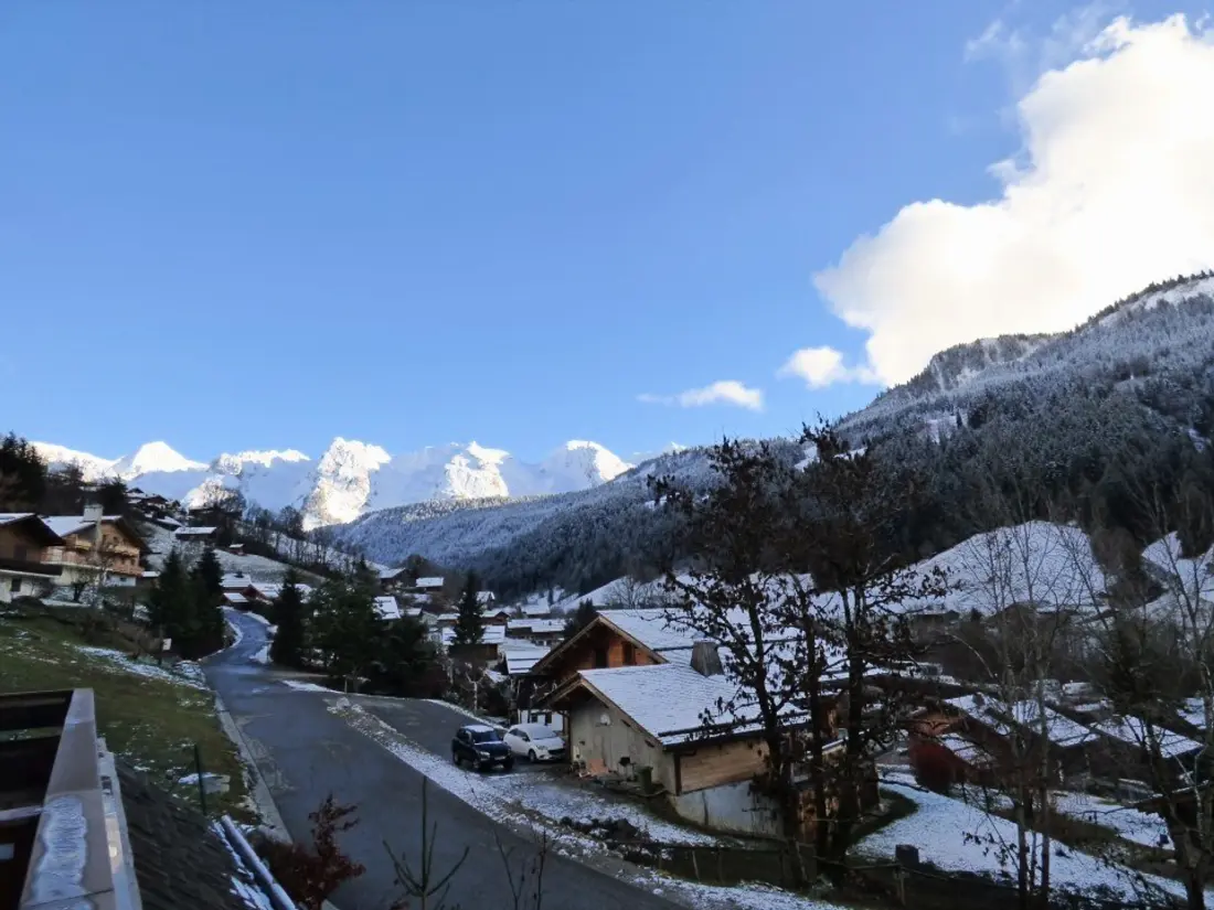 Location de Vacances Le Grand-Bornand 336