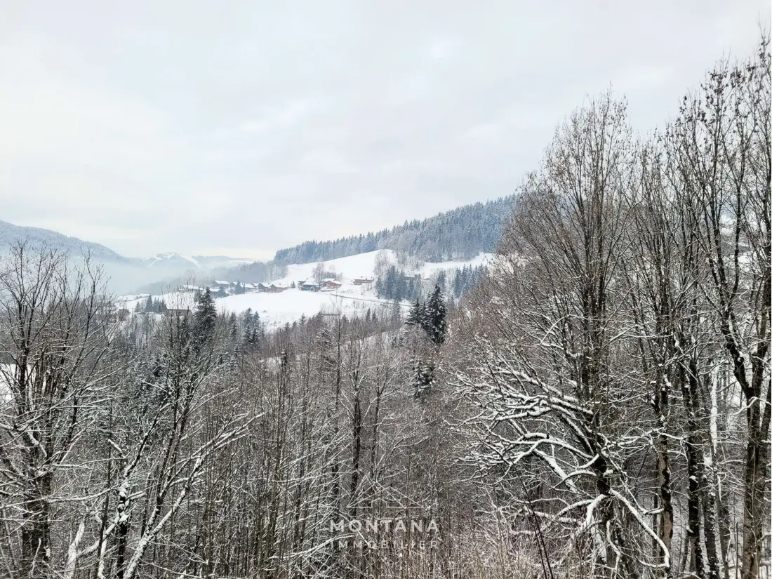 Location de Vacances Le Grand-Bornand 339