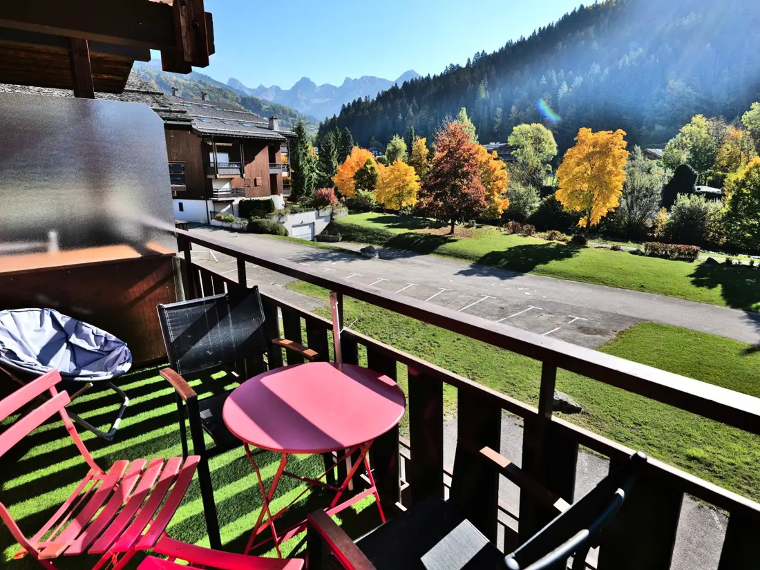 Location de Vacances Le Grand-Bornand 343