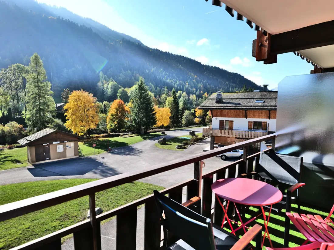Location de Vacances Le Grand-Bornand 343