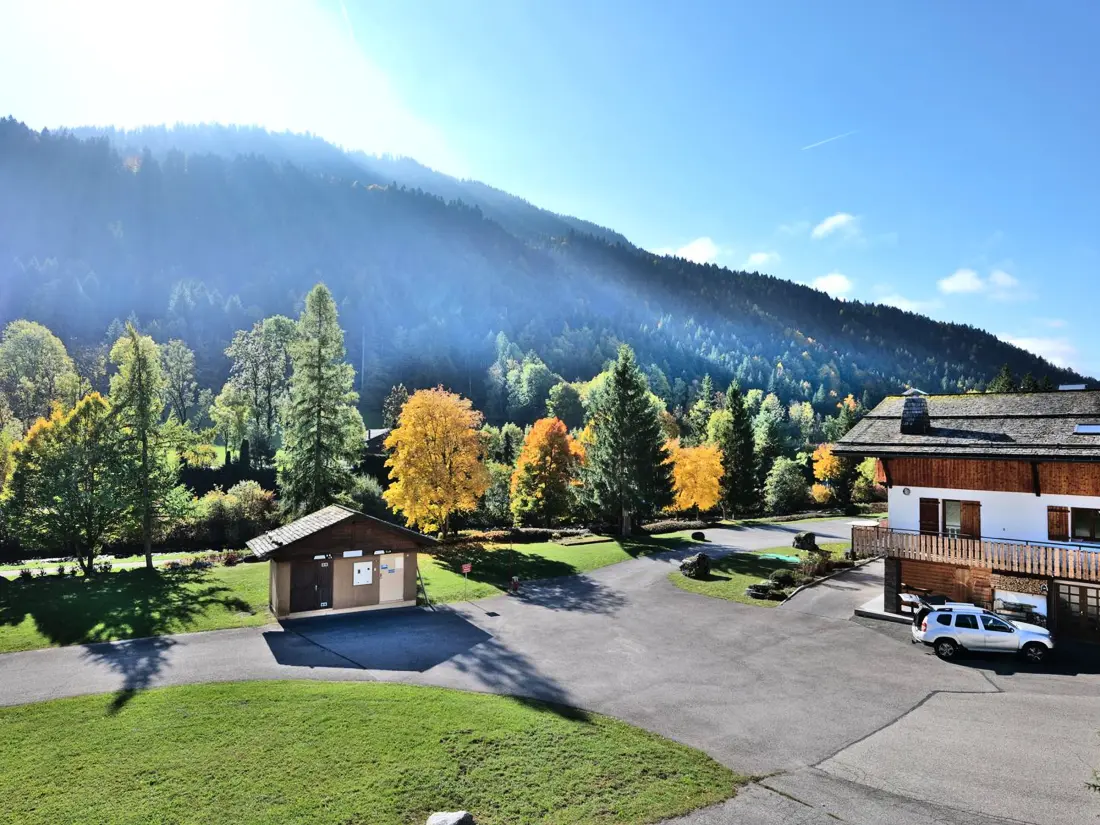 Location de Vacances Le Grand-Bornand 343