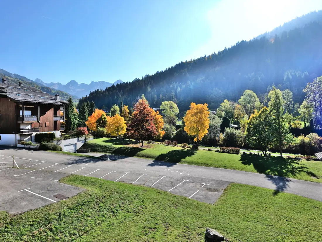 Location de Vacances Le Grand-Bornand 343