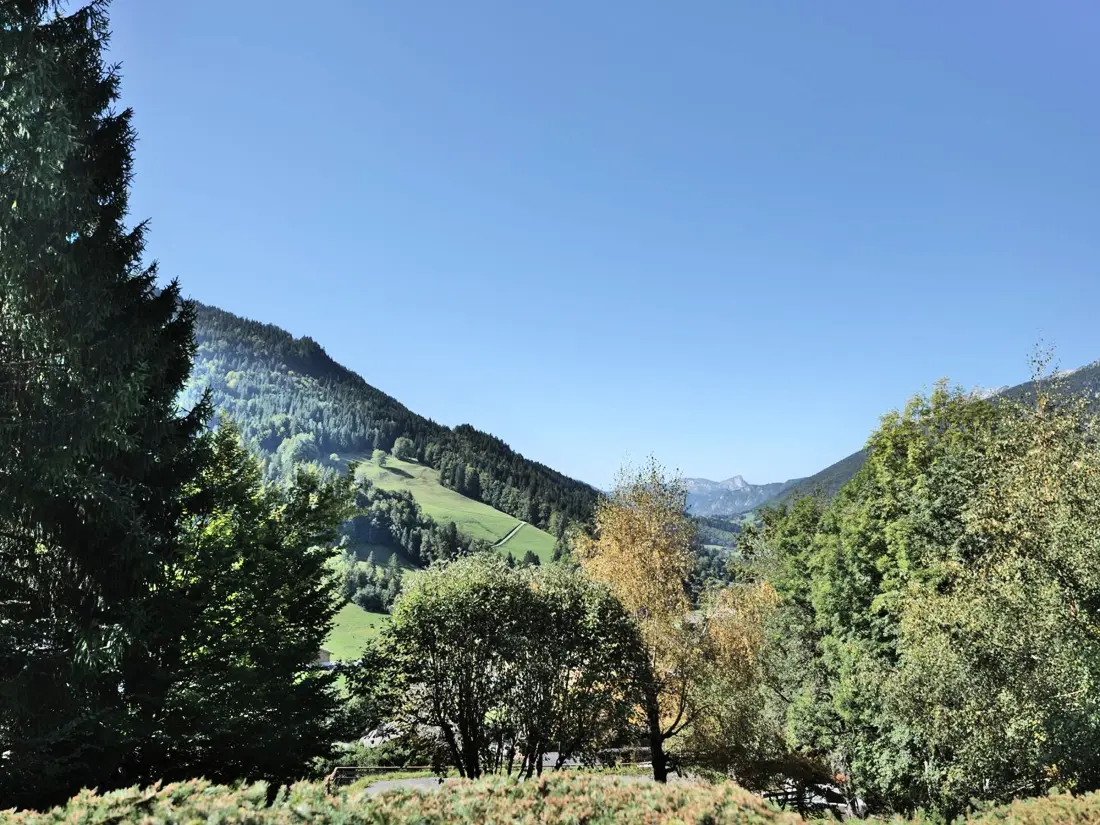Location de Vacances Le Grand-Bornand 344