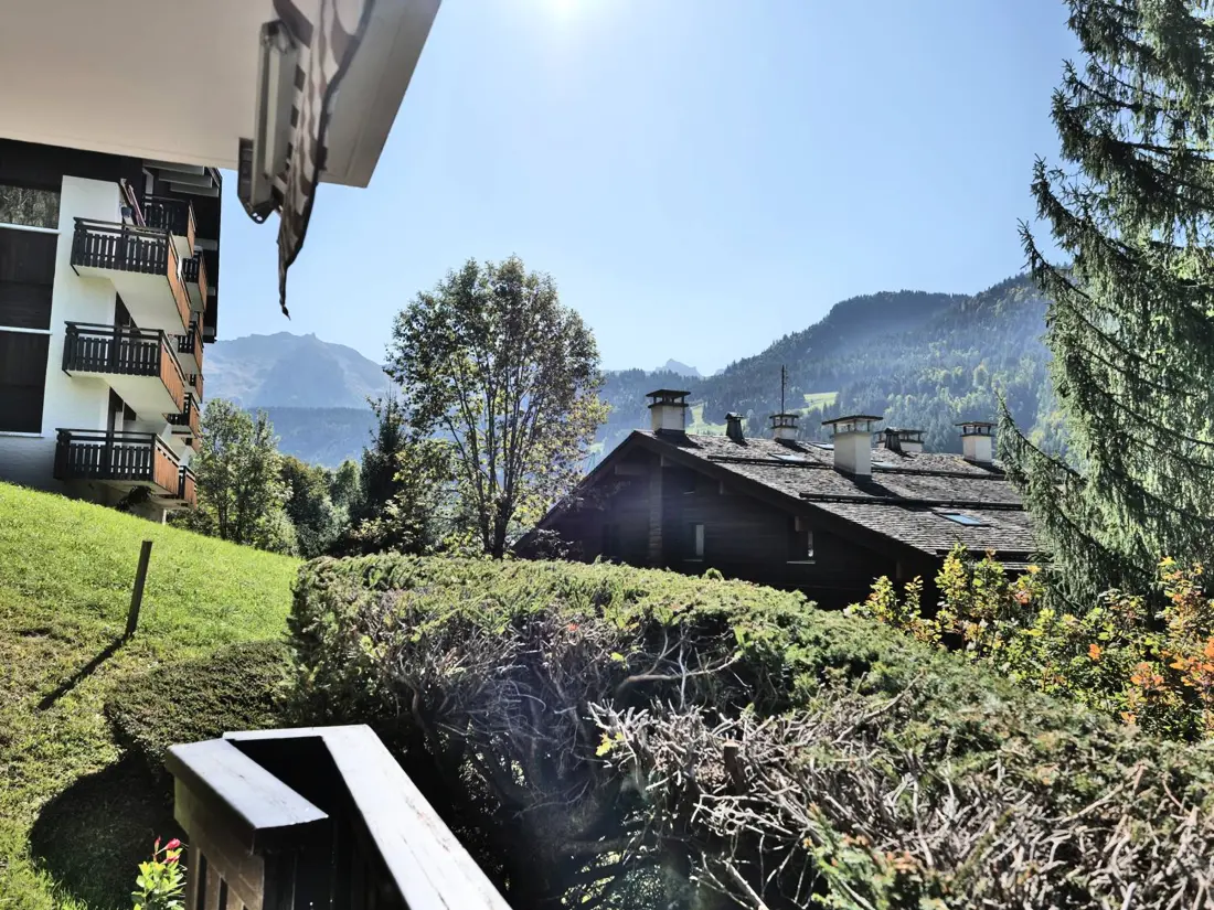 Location de Vacances Le Grand-Bornand 344