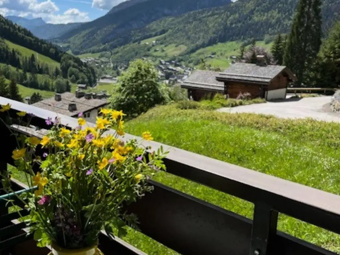 Location de Vacances Le Grand-Bornand 347